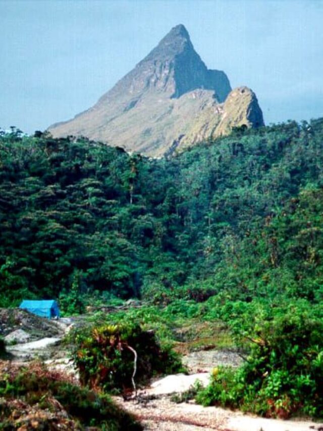 Parque Nacional do Pico da Neblina, Amazonas