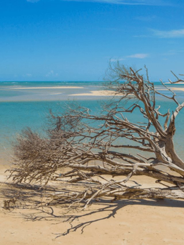 cropped-Praia-de-Macapa-imagina-que-gostoso.png