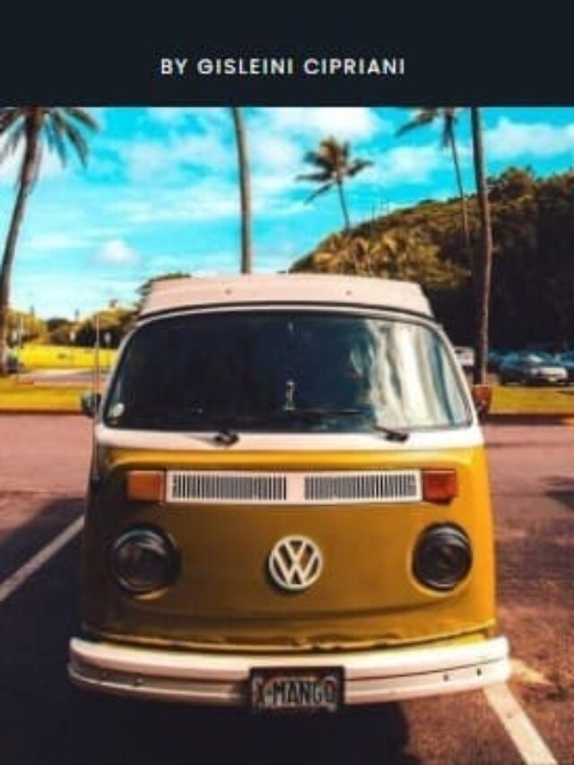 cropped-kombi-viajando.jpeg