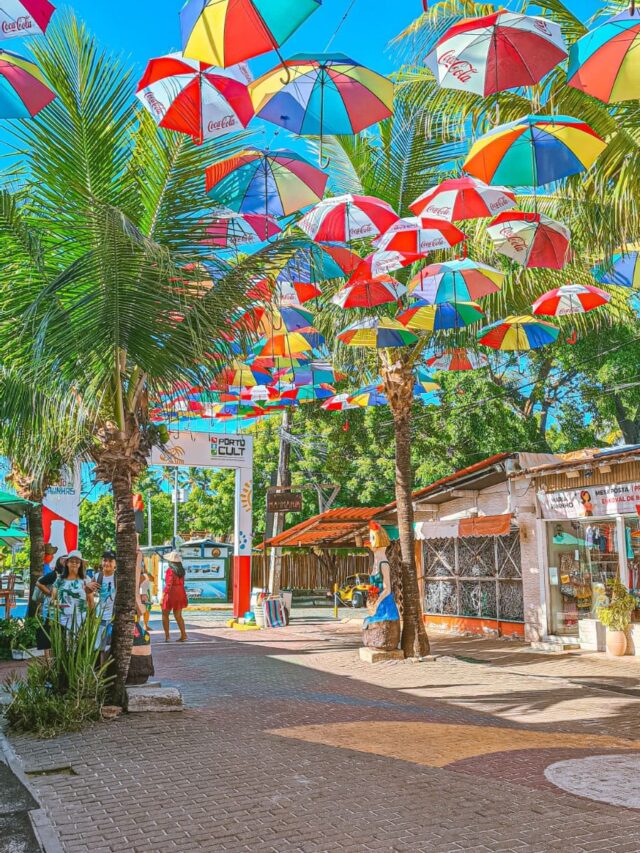 Descubra o charme de Porto de Galinhas