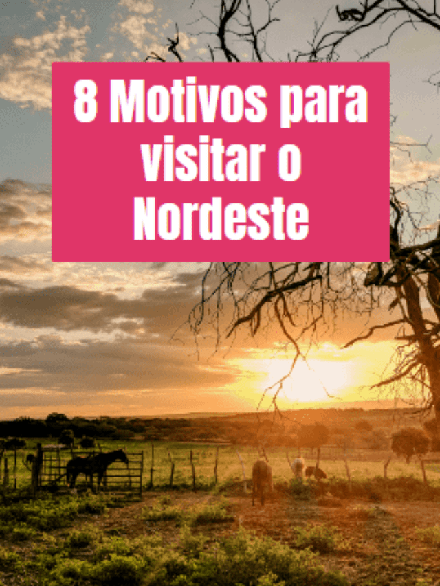 8 MOTIVOS PARA VISITAR O NORDESTE - FOTO REPRODUCAO UNSPLASH - IMAGIA QUE GOSTOSO