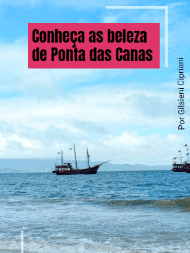 Conheça as belezas de ponta das canas em Florianópolis