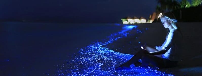 Mar de Estrelas em Maldivas: Um Espetáculo Noturno