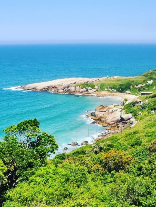 Descubra a beleza natural da Praia do Gravatá em Florianópolis!
