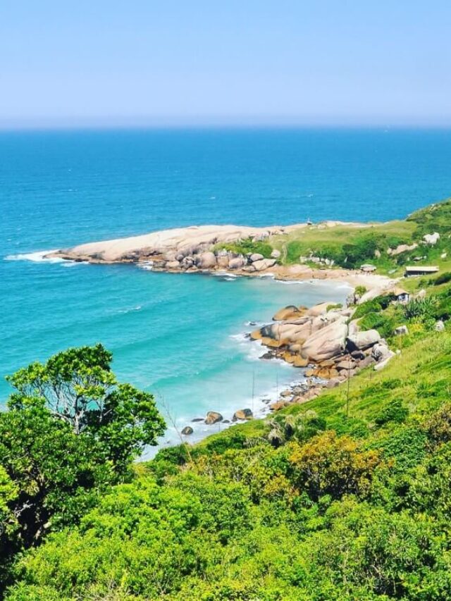 Descubra a beleza natural da Praia do Gravatá em Florianópolis!