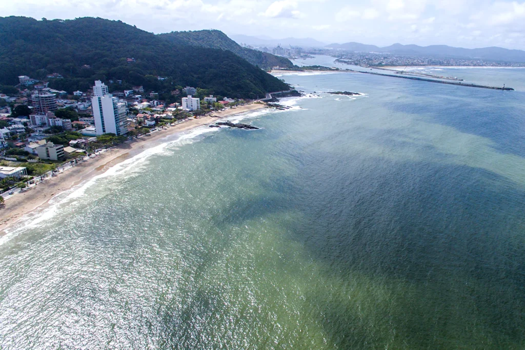 Praia Brava Itajaí, Guia Completo